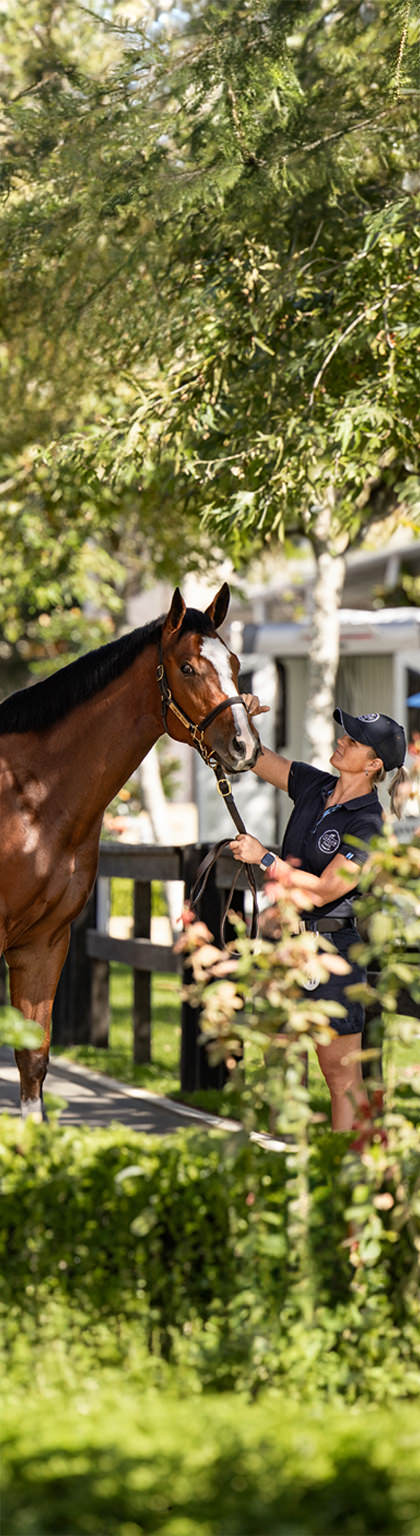 Sale statistics background image