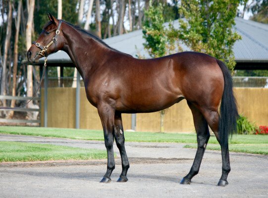 Lot 197: I Am Invincible / Lady's Light (USA)