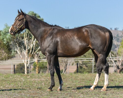 Lot 310: Stratum / Tresor