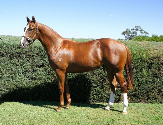 Lot 632: Unencumbered / Tuckshop Princess