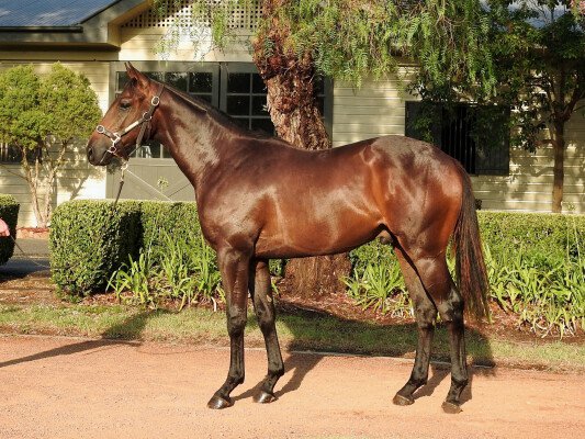 Lot 282: All Too Hard / Belscenica