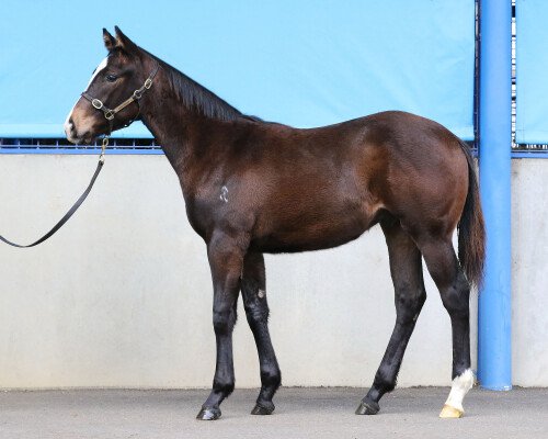 Lot 78: Unencumbered / So Resilient