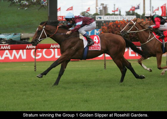 Lot 63: Rock of Gibraltar (IRE) / Bourgeois