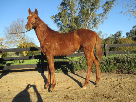 Lot 405: Reset / Interna