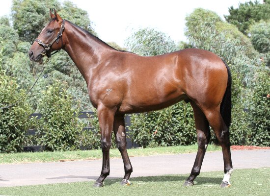 Lot 156: I Am Invincible / Little Evie
