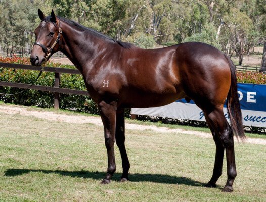 Lot 407: Commands / Twickers