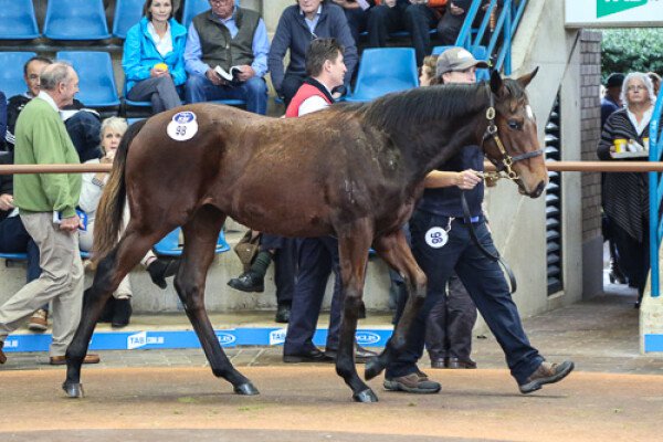 Lot 98: Your Song / Headsup (NZ)