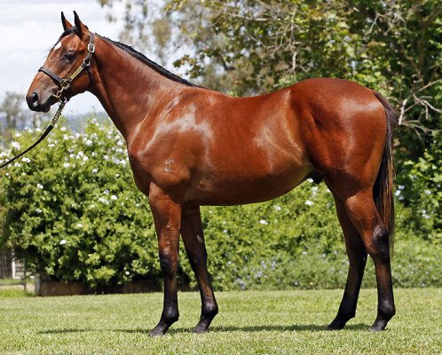 Lot 563: Not a Single Doubt / Bleach (NZ)