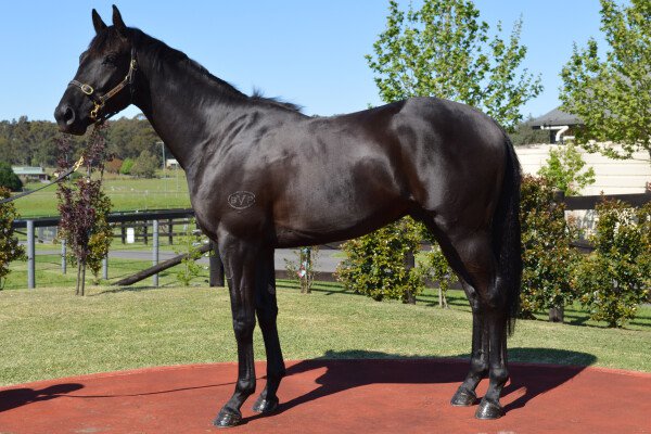 Lot 162: Domesday / Apocrypha