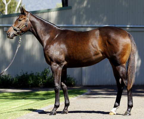 Lot 496: Duporth / Behind