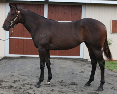 Lot 729: Statue of Liberty (USA) / Belolly