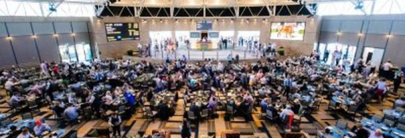 Riverside Stables Sales Arena