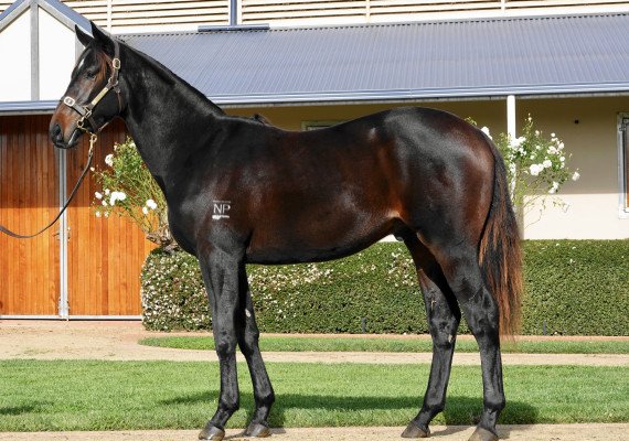 Lot 139: Alabama Express / Red Sparrow