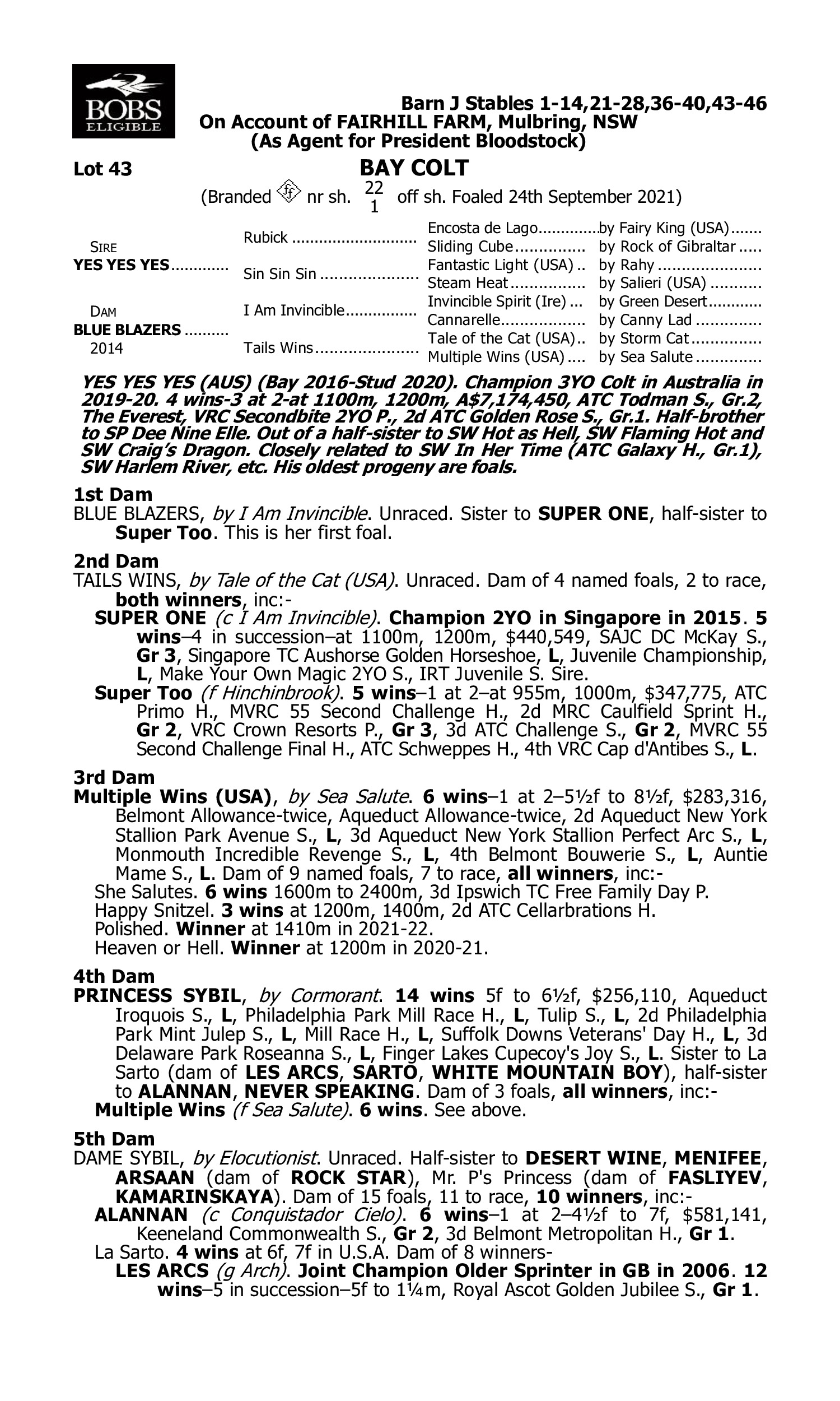 Pedigree for Lot 43 Yes Yes Yes - Blue Blazers