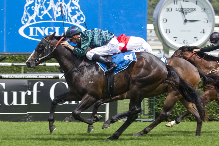 Rod Northam Out For Champagne Finish With Odyssey Moon As New Group 1 Campaign Begins