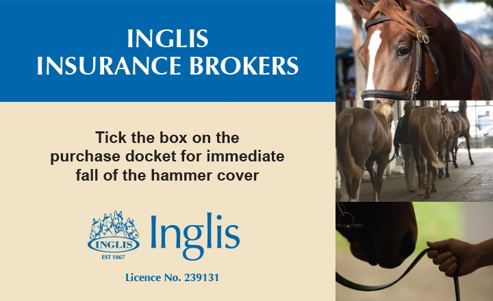 Inglis Insurance