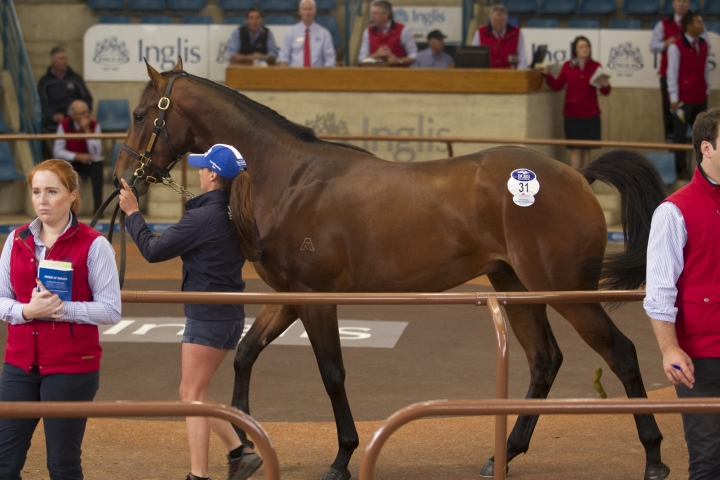 Entries Closing For Sydney Sales