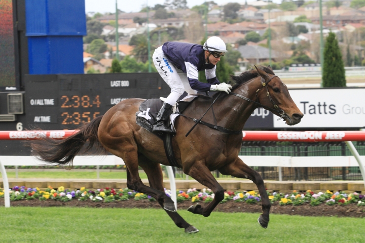 Team Williams Draft Tops Melbourne Select Racehorse Sale