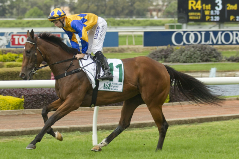 Cosmic Endeavour confirmed for Tatt's Tiara