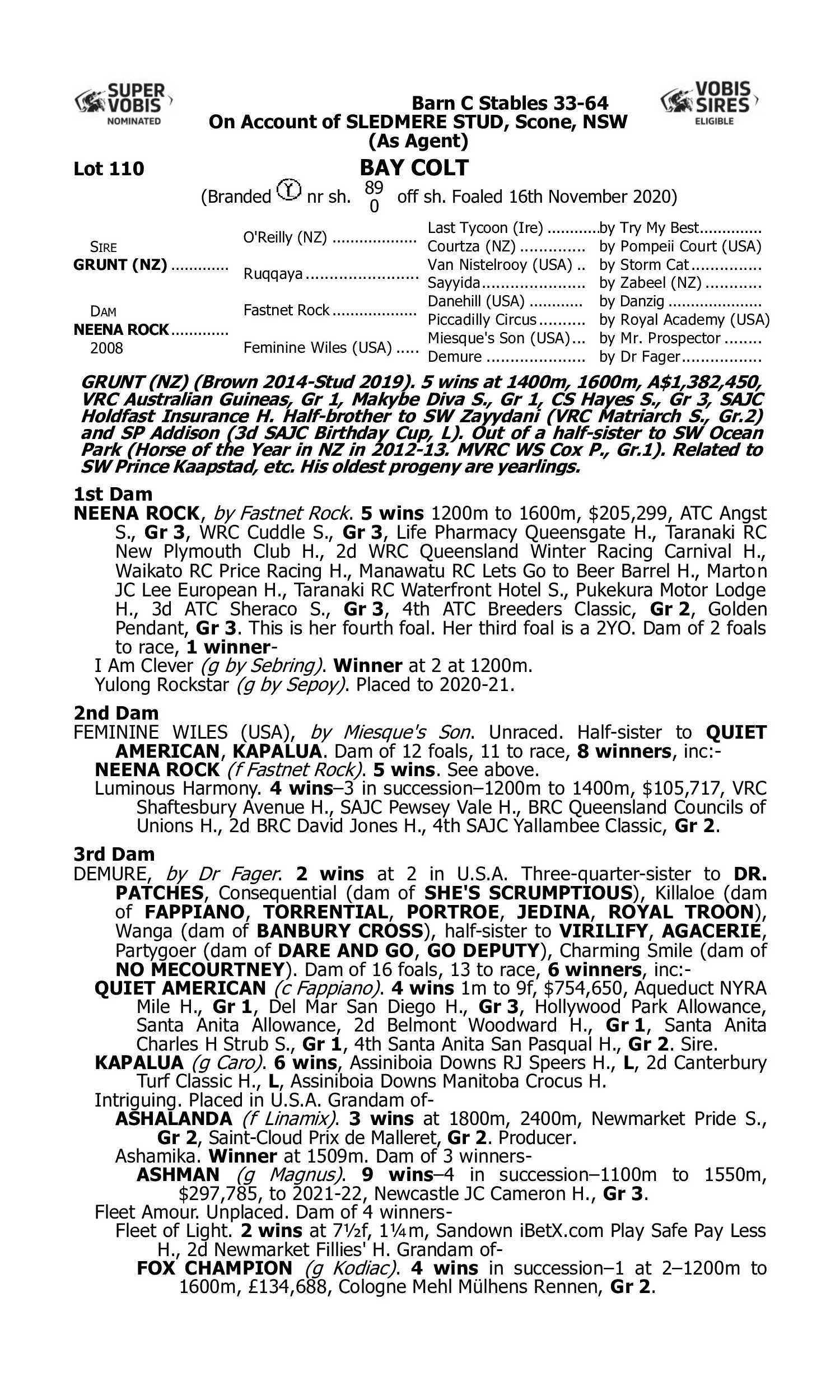 Pedigree for Lot 110 Grunt (NZ) - Neena Rock