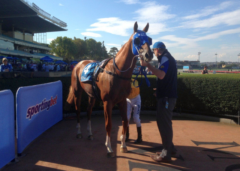 $100,000 Inglis Bonus Win For Crime Fighter