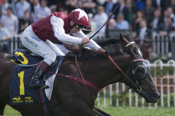 Darley’s Racing Stock All The Rage In Melbourne