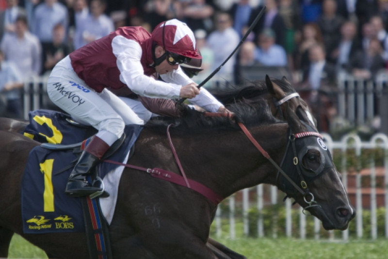 Darley’s Racing Stock All The Rage In Melbourne