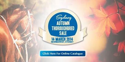 Autumn Thoroughbred Sale