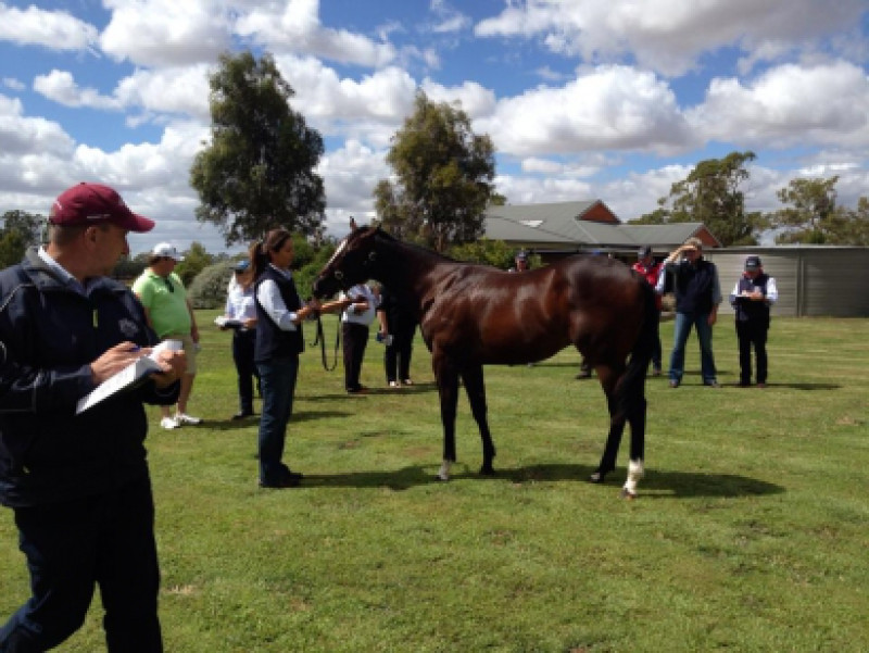 Melbourne Premier Preview On TVN Tonight