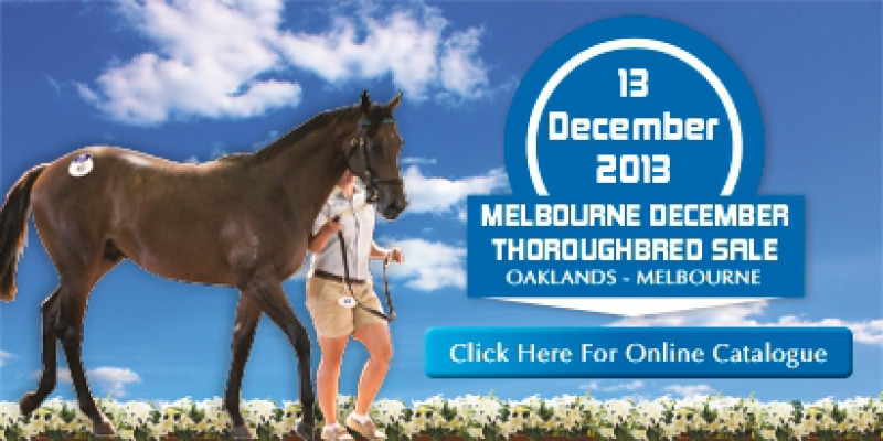 December Thoroughbred Sale