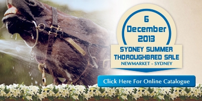 Summer TB Sale Entries