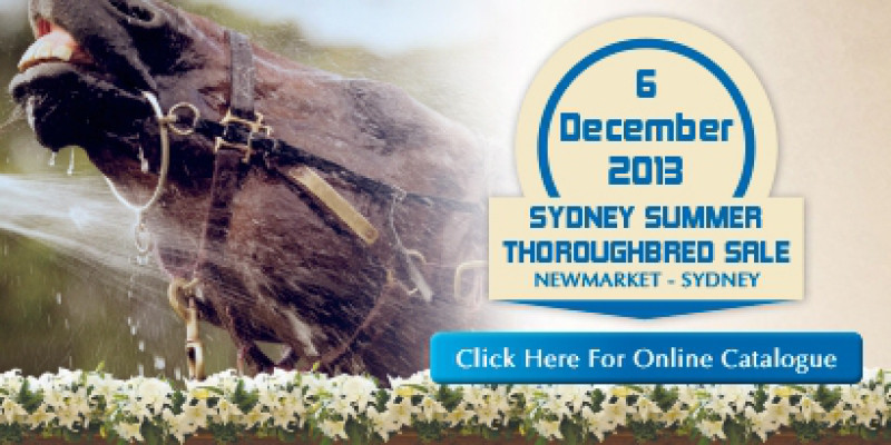 Summer TB Sale Entries