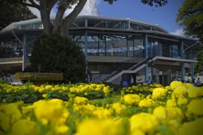 Friday’s Sydney Spring Thoroughbred Sale catalogue online