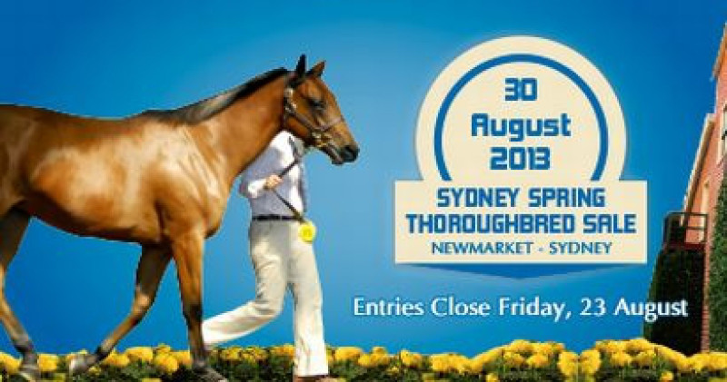 Entries for Sydney Spring Thoroughbred Sale close Friday