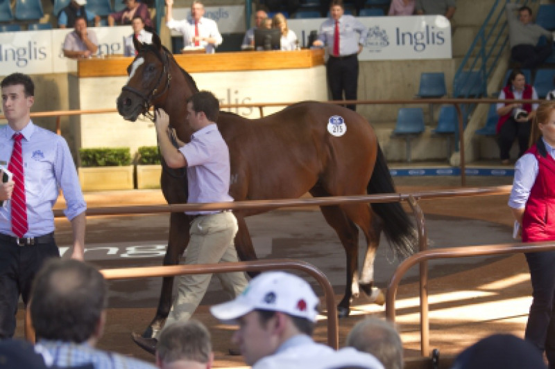 New 'Select' Option For Owners