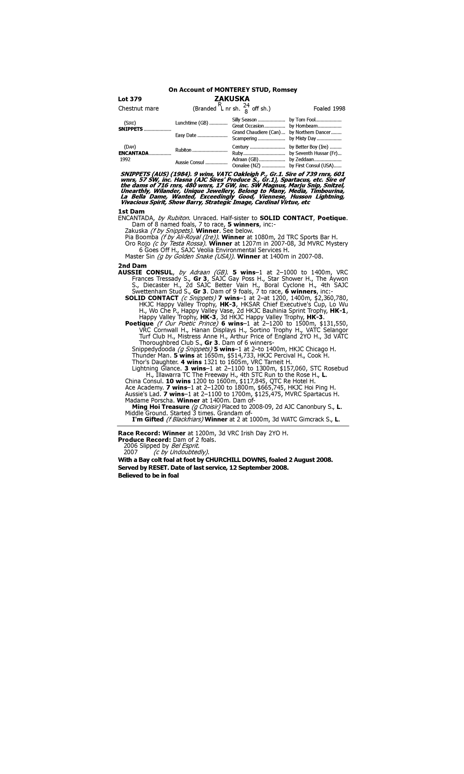 Pedigree for Lot 379 Snippets - Encantada