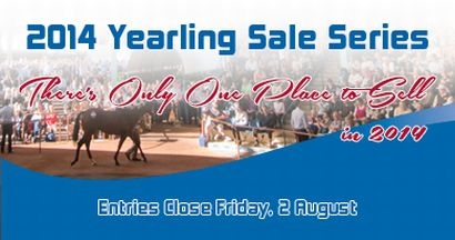 There is Only One Place to Sell in 2014