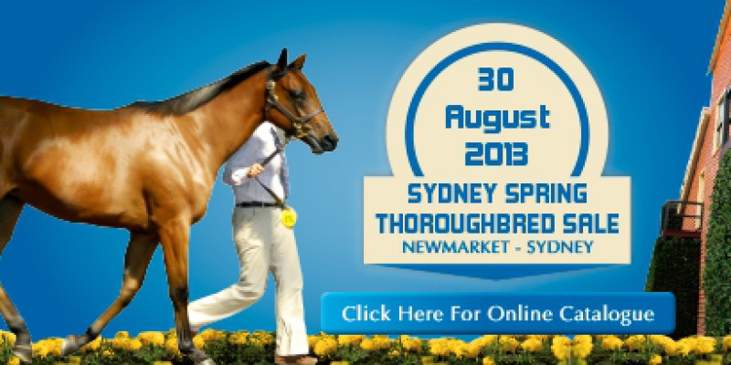 2013 Spring Thoroughbred Sale