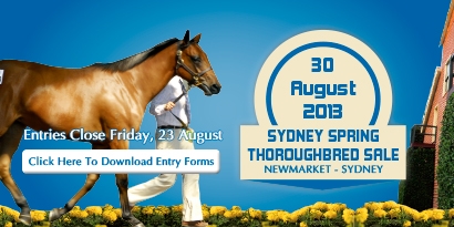 2013 Spring Thoroughbred Sale - Entries