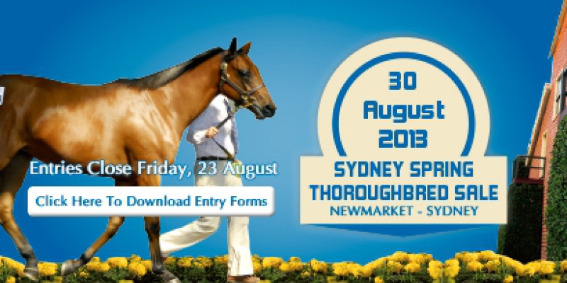 2013 Spring Thoroughbred Sale - Entries