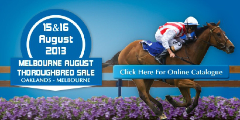 2013 August Thoroughbred Sale