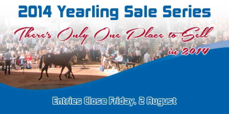2014 Yearling Sale Series - Entries Close
