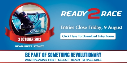 2013 Inglis Ready2Race Sale