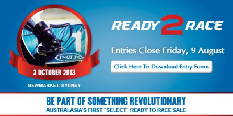 2013 Inglis Ready2Race Sale