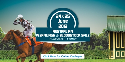 2013 Australian Weanling & Bloodstock Sale