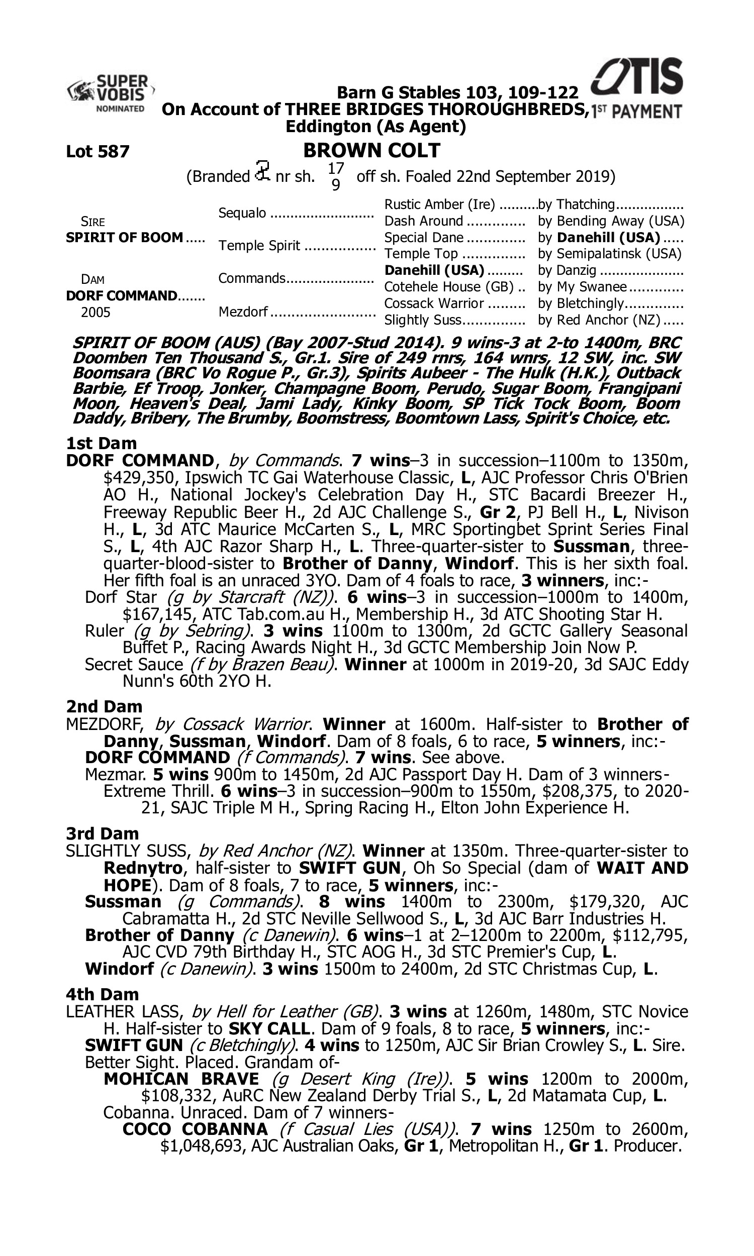 Pedigree for Lot 587 Spirit of Boom - Dorf Command