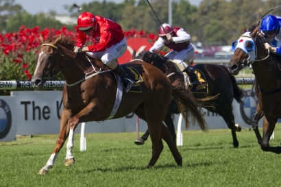 Guineas always the plan for Flying Snitzel