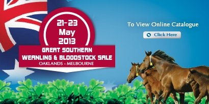 2013 Great Southern Sale