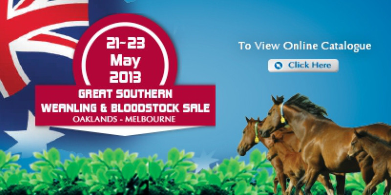 2013 Great Southern Sale