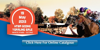 2013 HTBA Scone Yearling Sale
